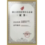 浙江省科技型中小企業證書